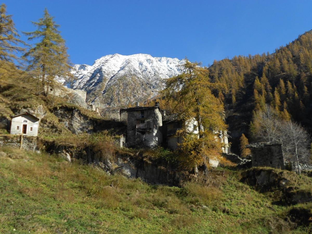 La Mura' - Il Vostro Posto Nel Gran Paradiso Ronco Canavese المظهر الخارجي الصورة