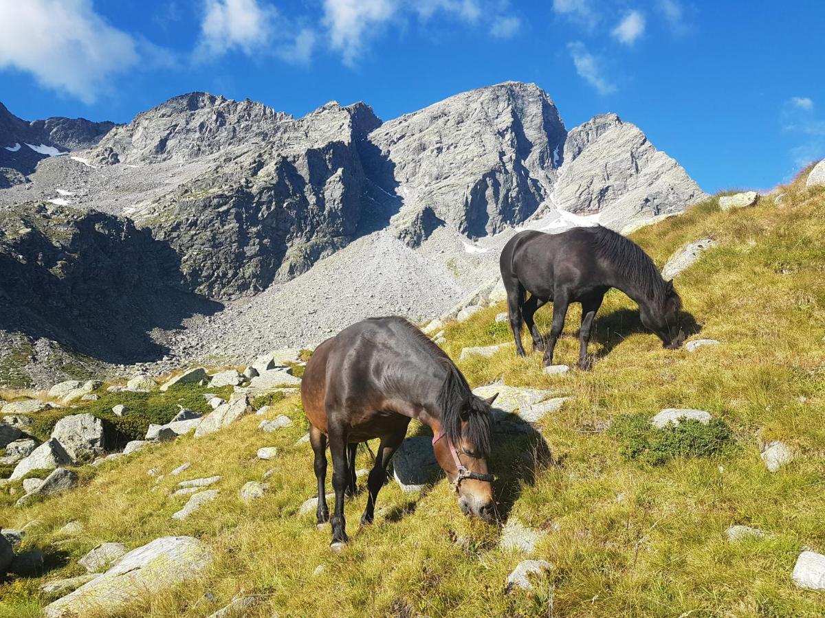 La Mura' - Il Vostro Posto Nel Gran Paradiso Ronco Canavese المظهر الخارجي الصورة