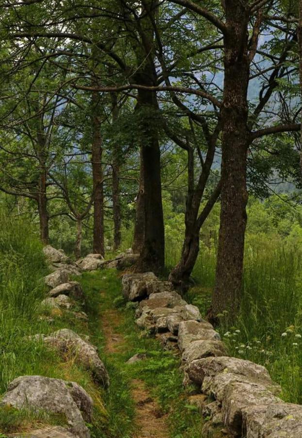 La Mura' - Il Vostro Posto Nel Gran Paradiso Ronco Canavese المظهر الخارجي الصورة