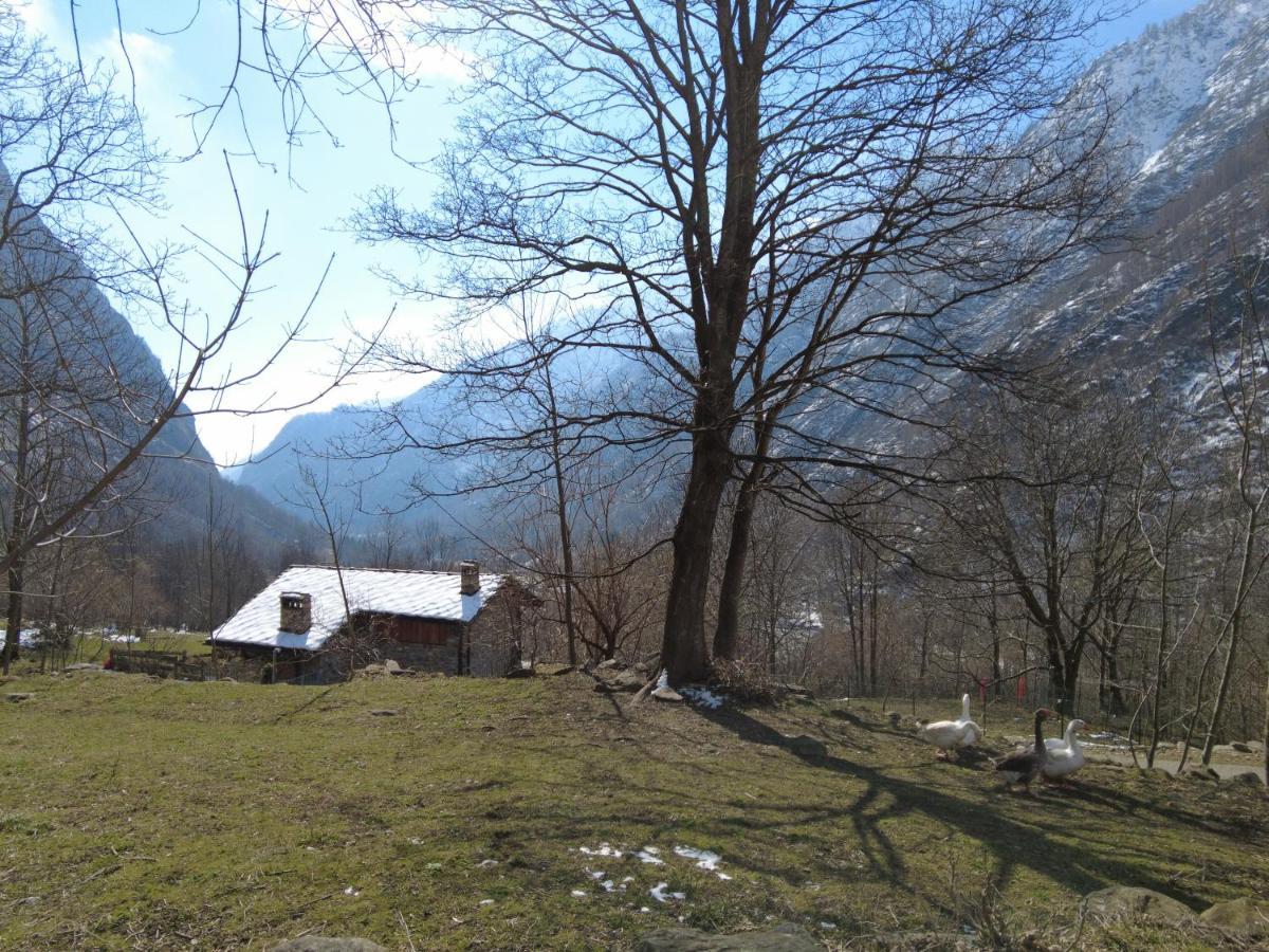 La Mura' - Il Vostro Posto Nel Gran Paradiso Ronco Canavese المظهر الخارجي الصورة