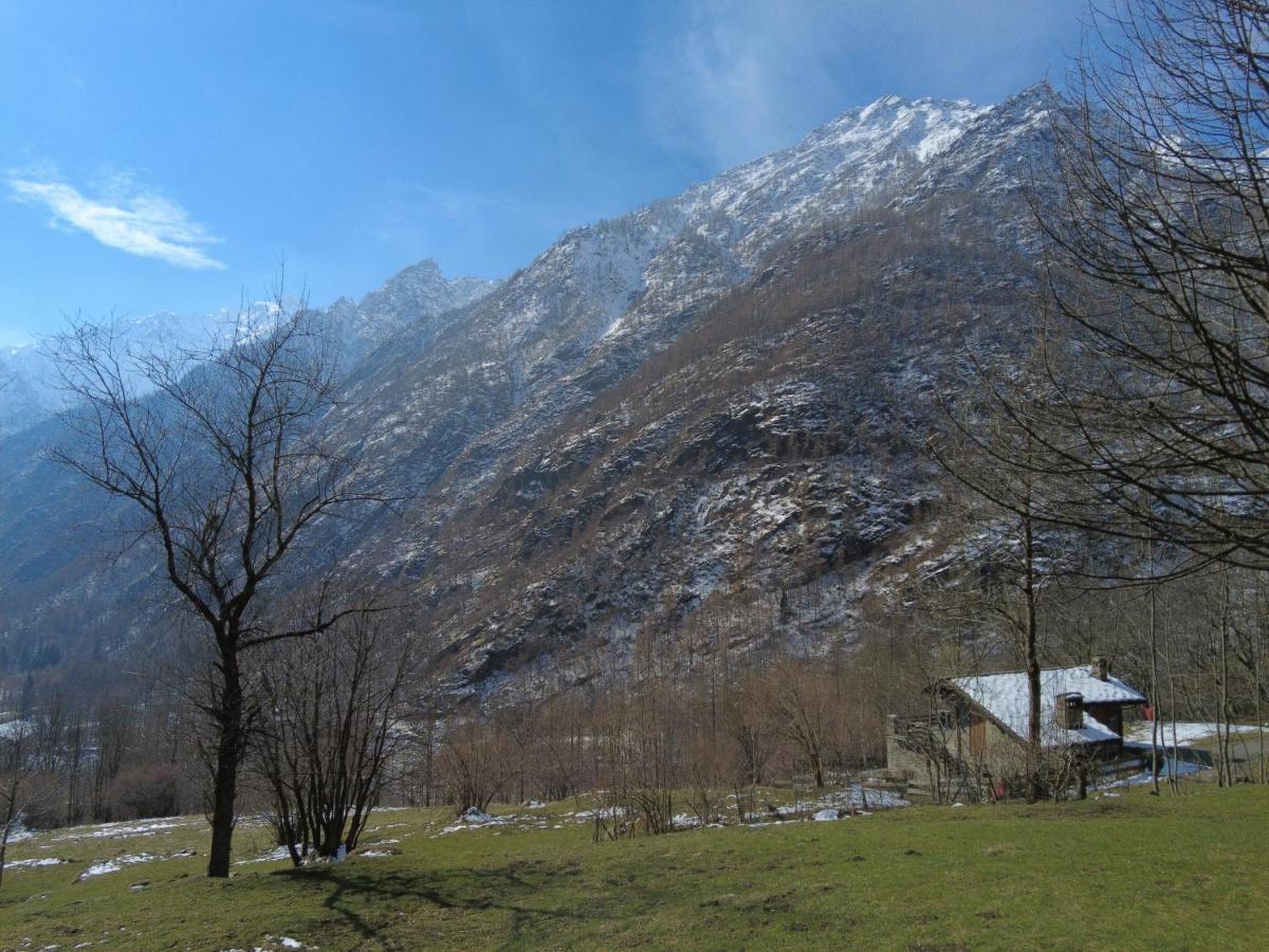 La Mura' - Il Vostro Posto Nel Gran Paradiso Ronco Canavese المظهر الخارجي الصورة