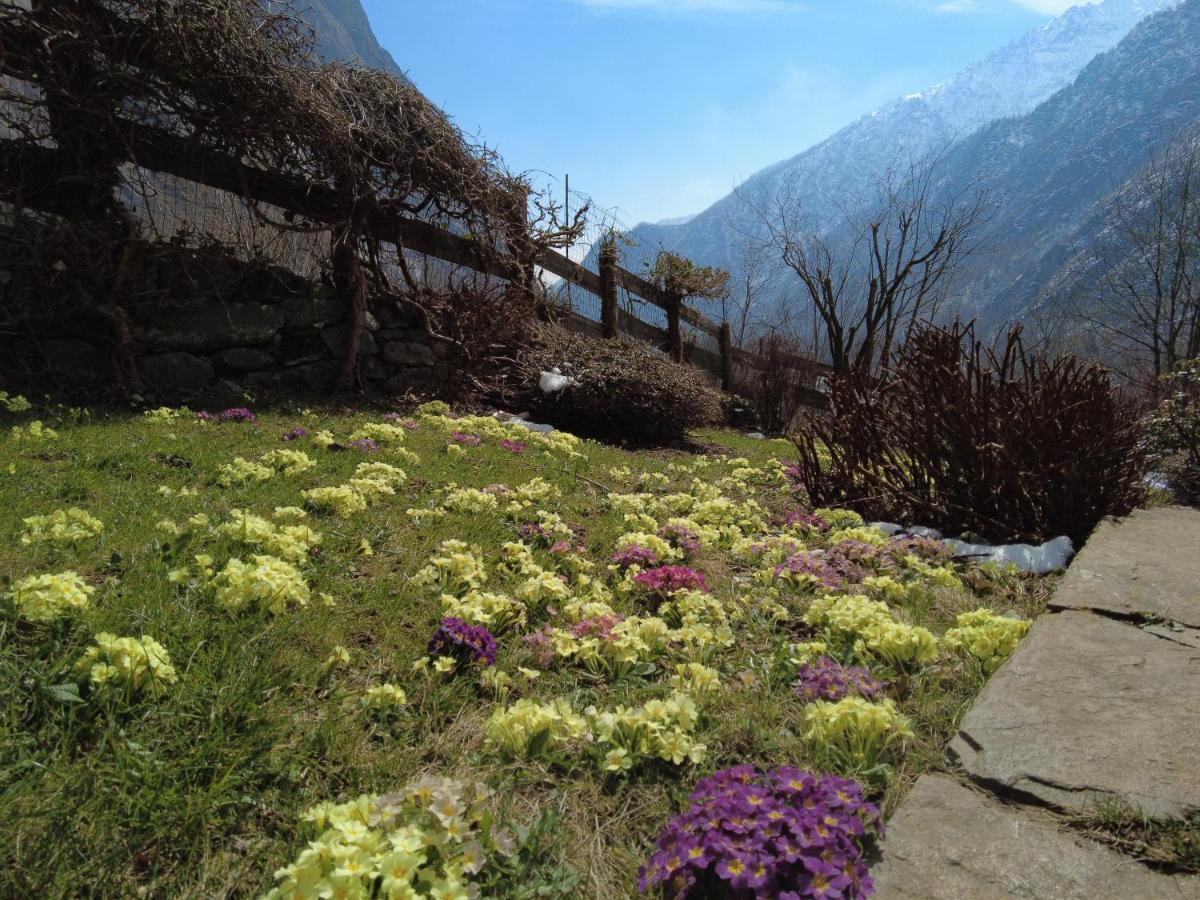 La Mura' - Il Vostro Posto Nel Gran Paradiso Ronco Canavese المظهر الخارجي الصورة