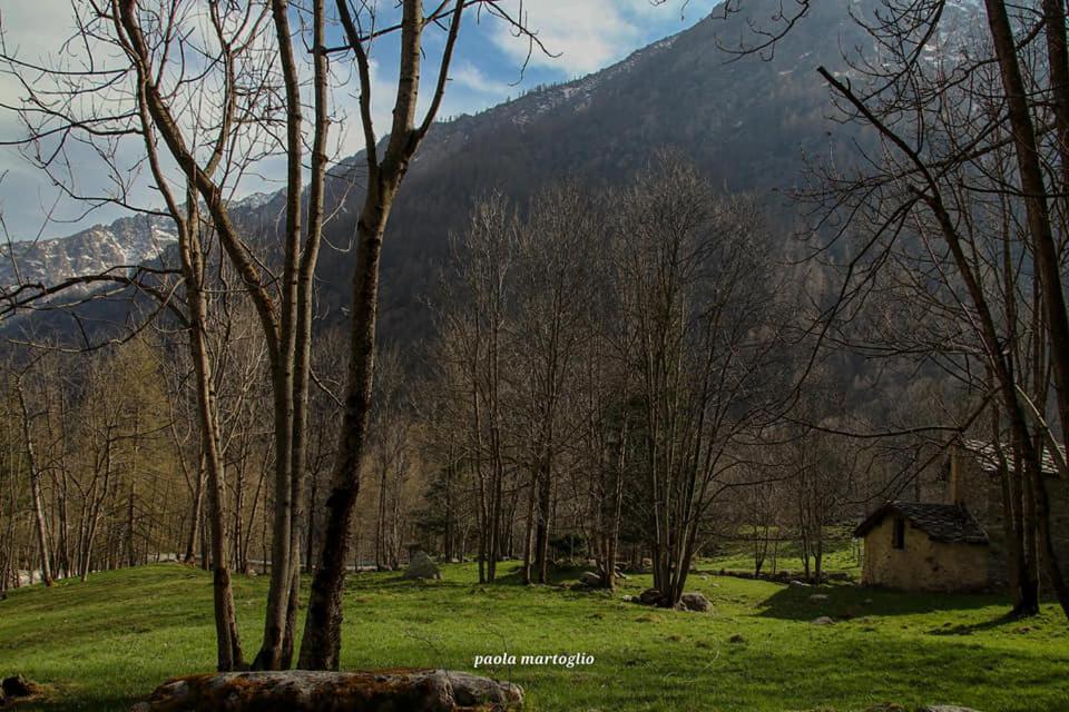 La Mura' - Il Vostro Posto Nel Gran Paradiso Ronco Canavese المظهر الخارجي الصورة