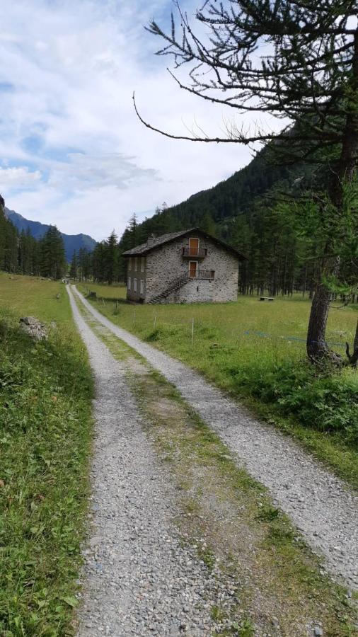 La Mura' - Il Vostro Posto Nel Gran Paradiso Ronco Canavese المظهر الخارجي الصورة