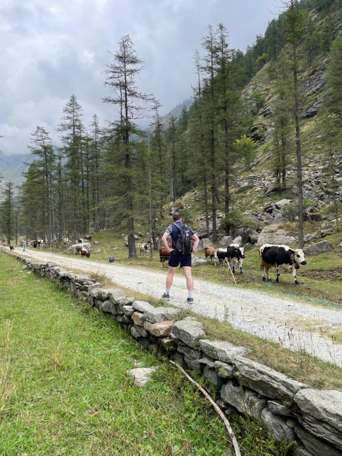 La Mura' - Il Vostro Posto Nel Gran Paradiso Ronco Canavese المظهر الخارجي الصورة